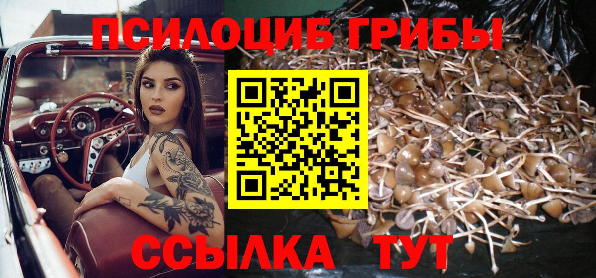 Галлюциногенные грибы Psilocybine cubensis  Псилоцибиновые грибы Cubensis  Касимов  Вход с VPN 