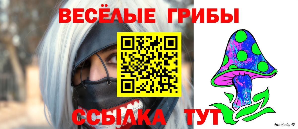 Псилоцибиновые грибы MAGIC MUSHROOMS Касимов